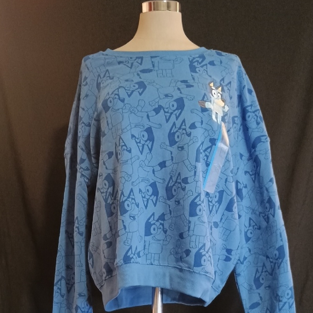 Bluey Graphic Sweatshirt by Hybrid Apparel